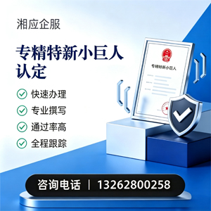 吕梁专精特新小巨人申报服务