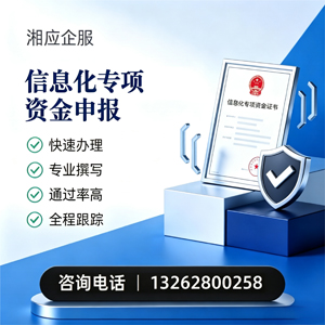 吕梁信息化专项资金申报服务