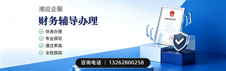 吕梁财务辅导申请服务