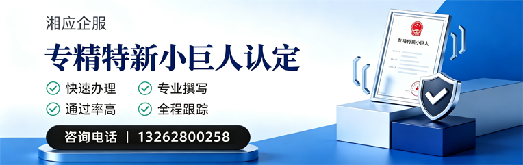 吕梁专精特新小巨人申报服务